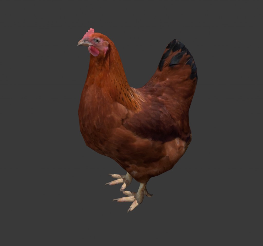Chicken preview image 1